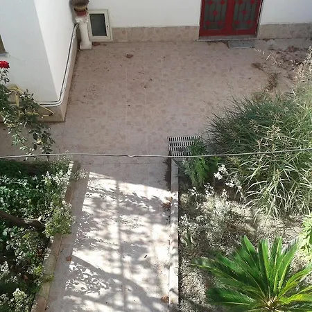 Rosa Di Calabria Bovalino Marina